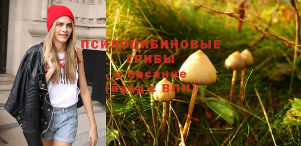 амф Вяземский