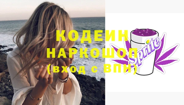 амф Вяземский