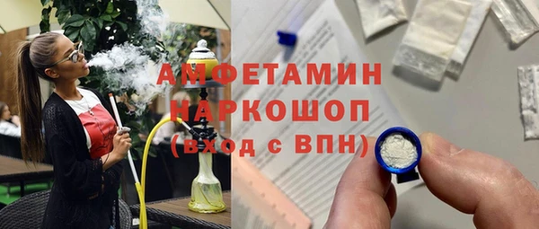 амф Вяземский