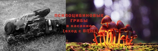 твердый Вязники